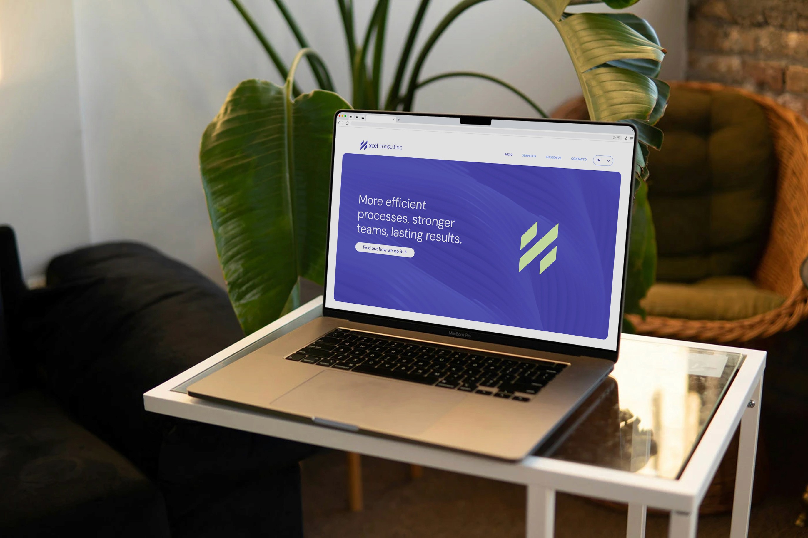 Xcel Consulting's website