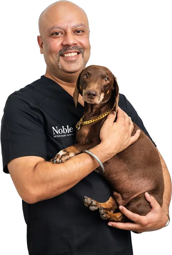 Dr. Sarabjit Singh: Orthopedic Veterinary Surgeon