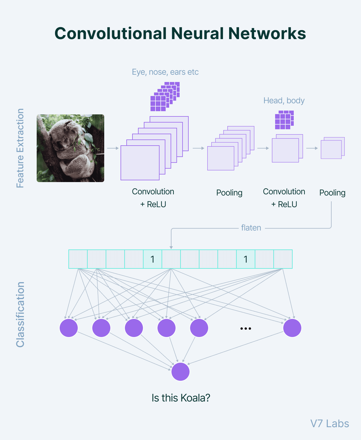 Convolutional Neural Networks