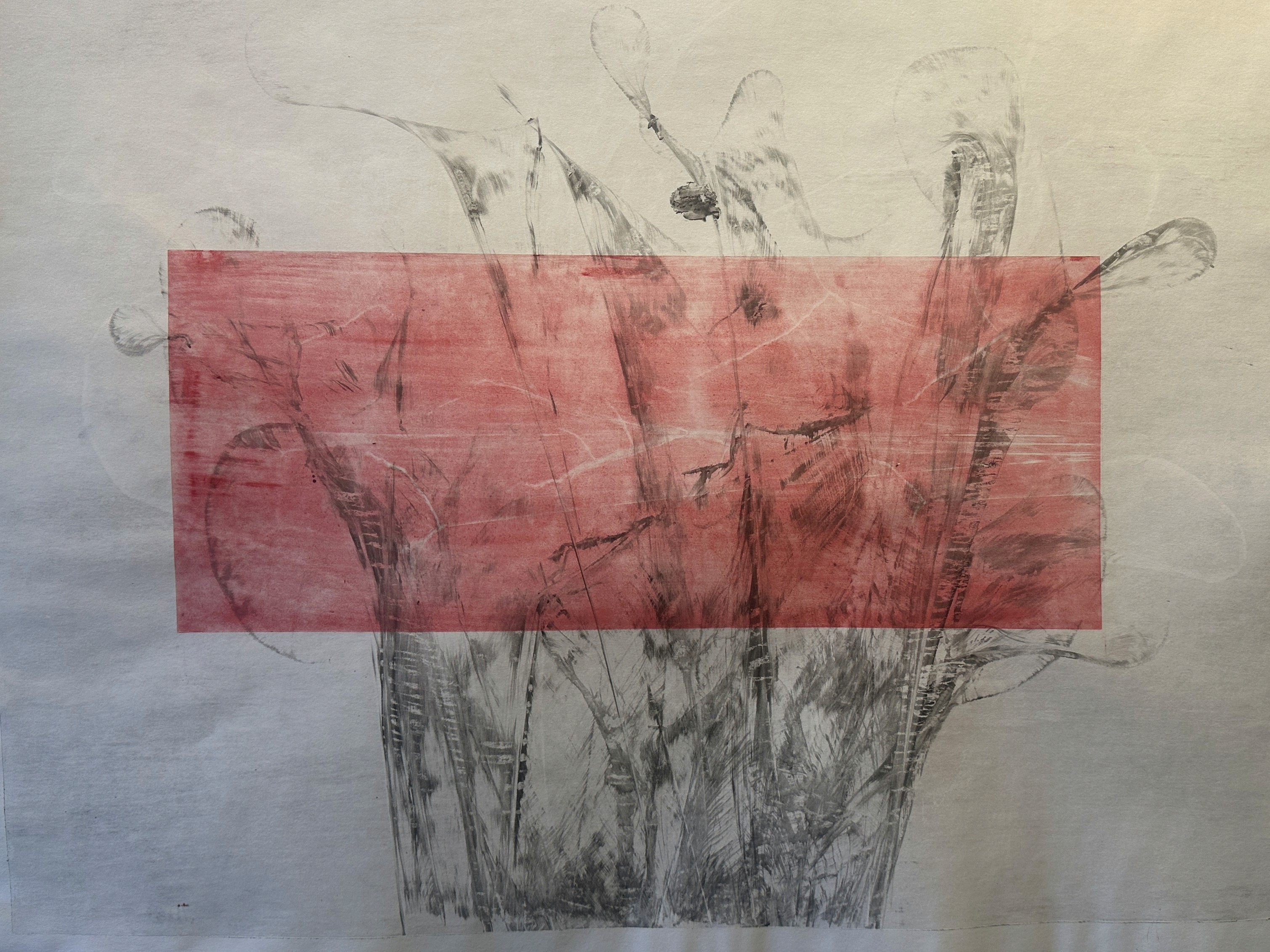 Scapes by Audeep Cariens