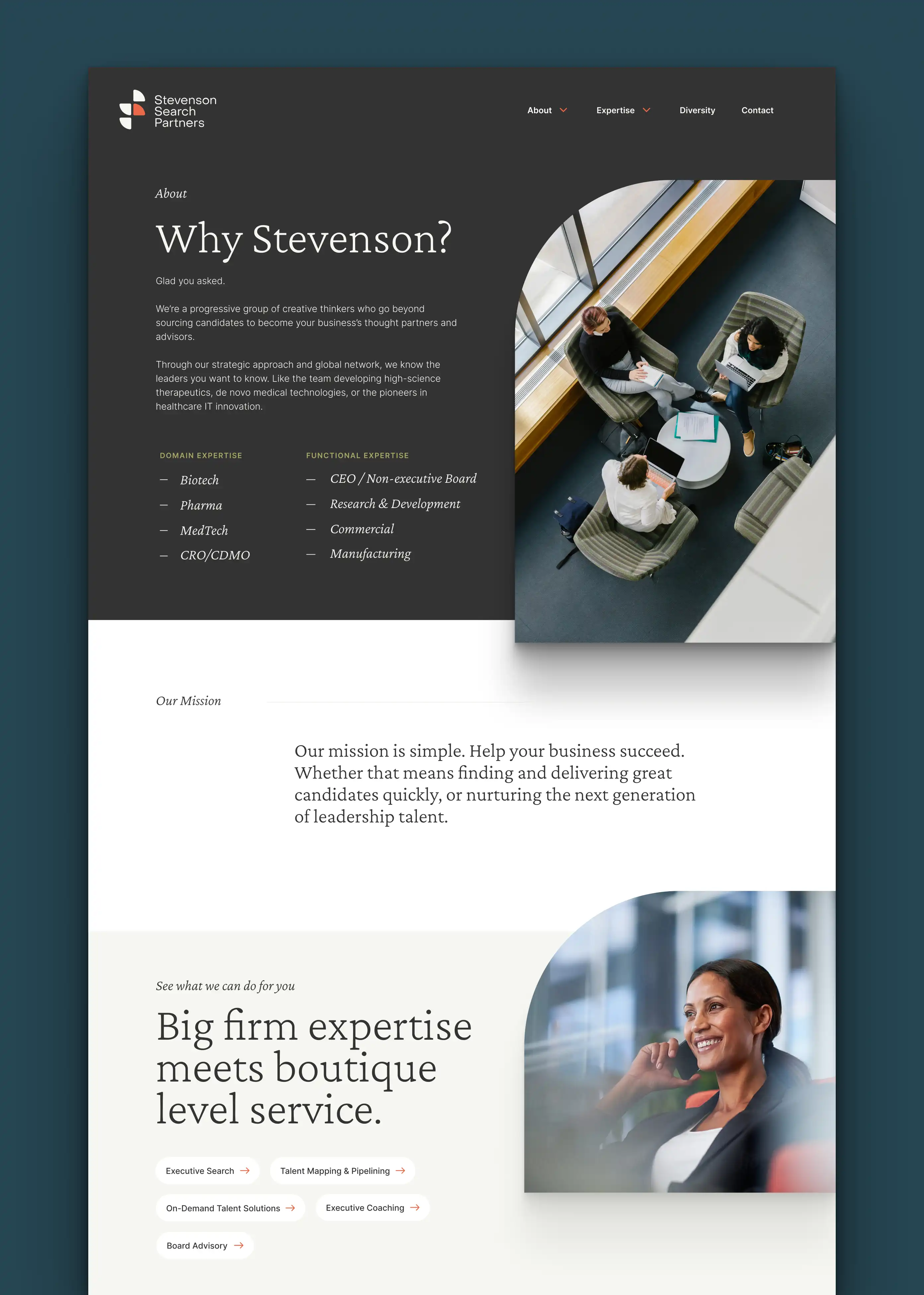 Stevenson Search Partners website design in desktop view