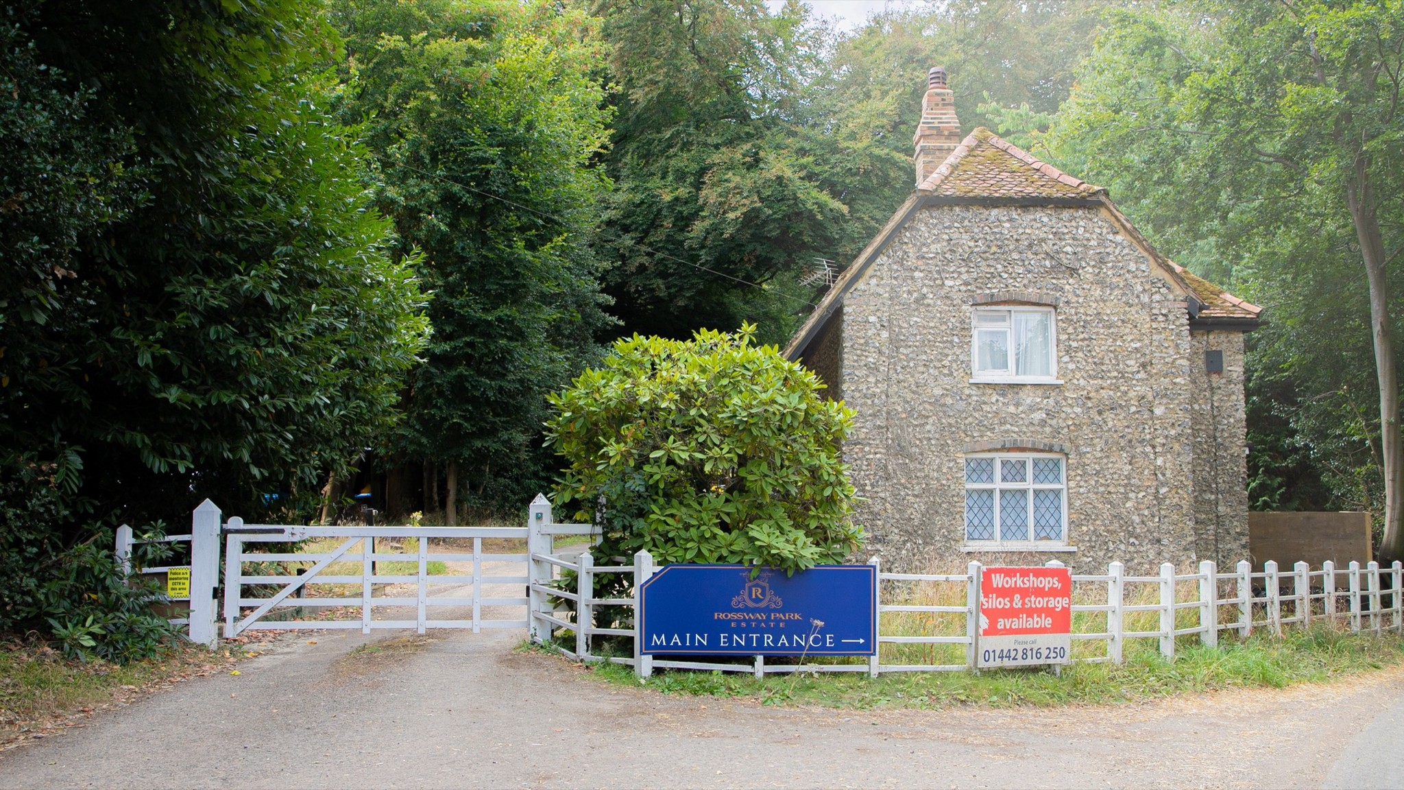 Two classic volkswagen beetles, one green, one cream.