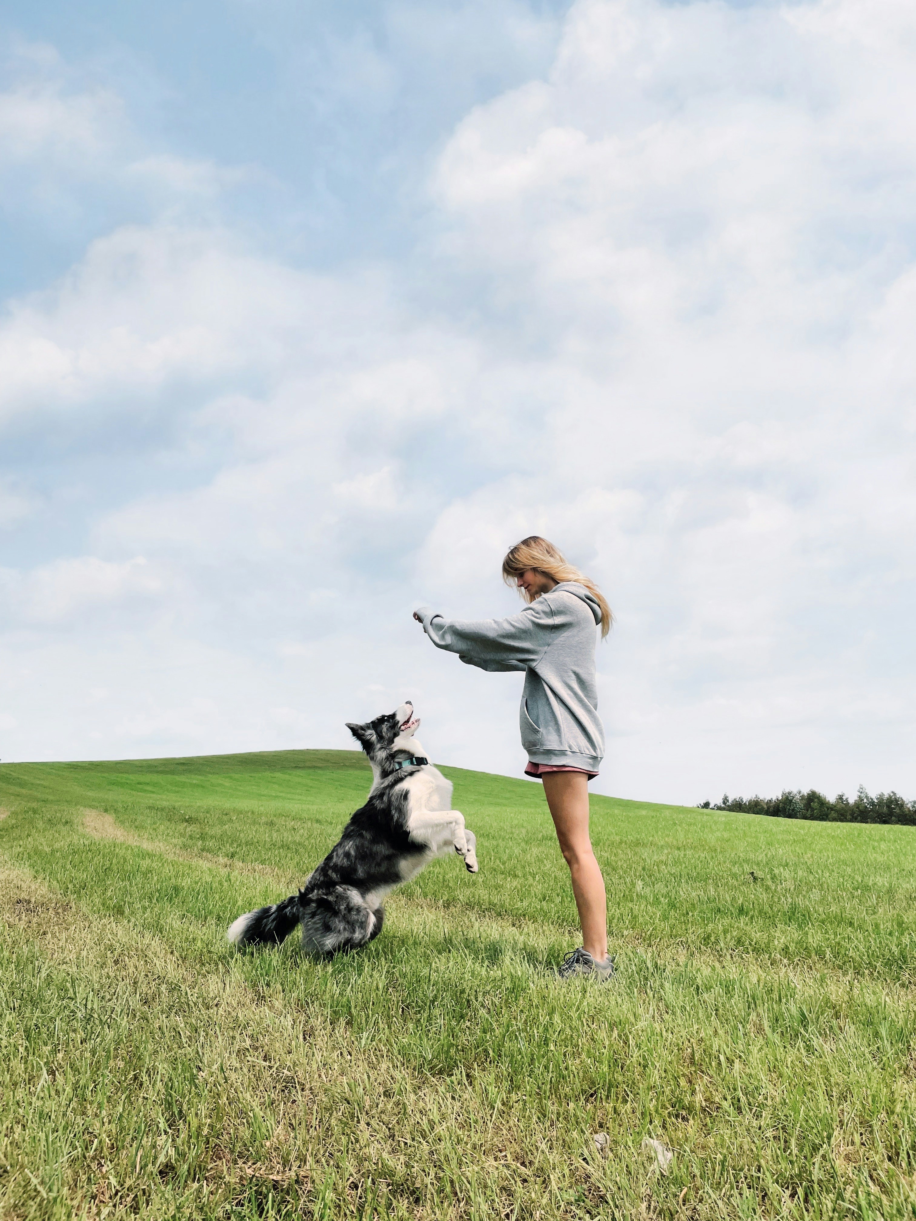 A woman playing with a dog in a field