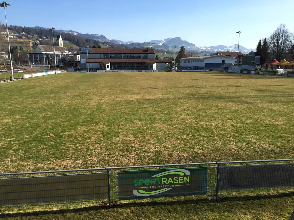 Winterschäden bei Rasen vermeiden