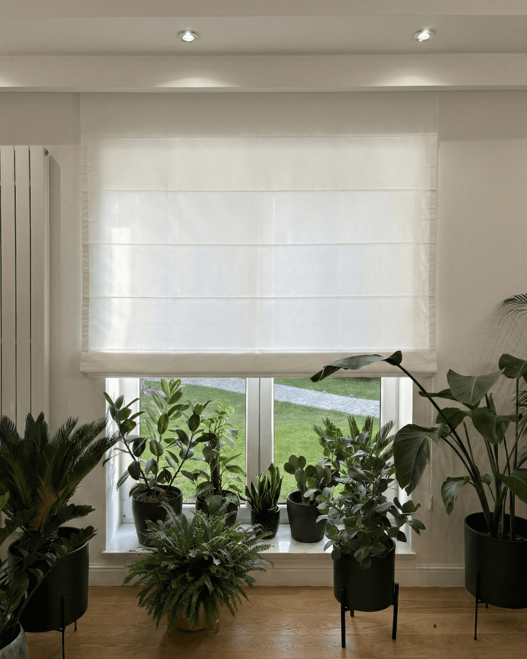 Półtransparentna biała roleta rzymska w salonie pełnym roślin doniczkowych. HeyShade Pruszków – nowoczesne osłony okienne na wymiar tworzące przytulny klimat.