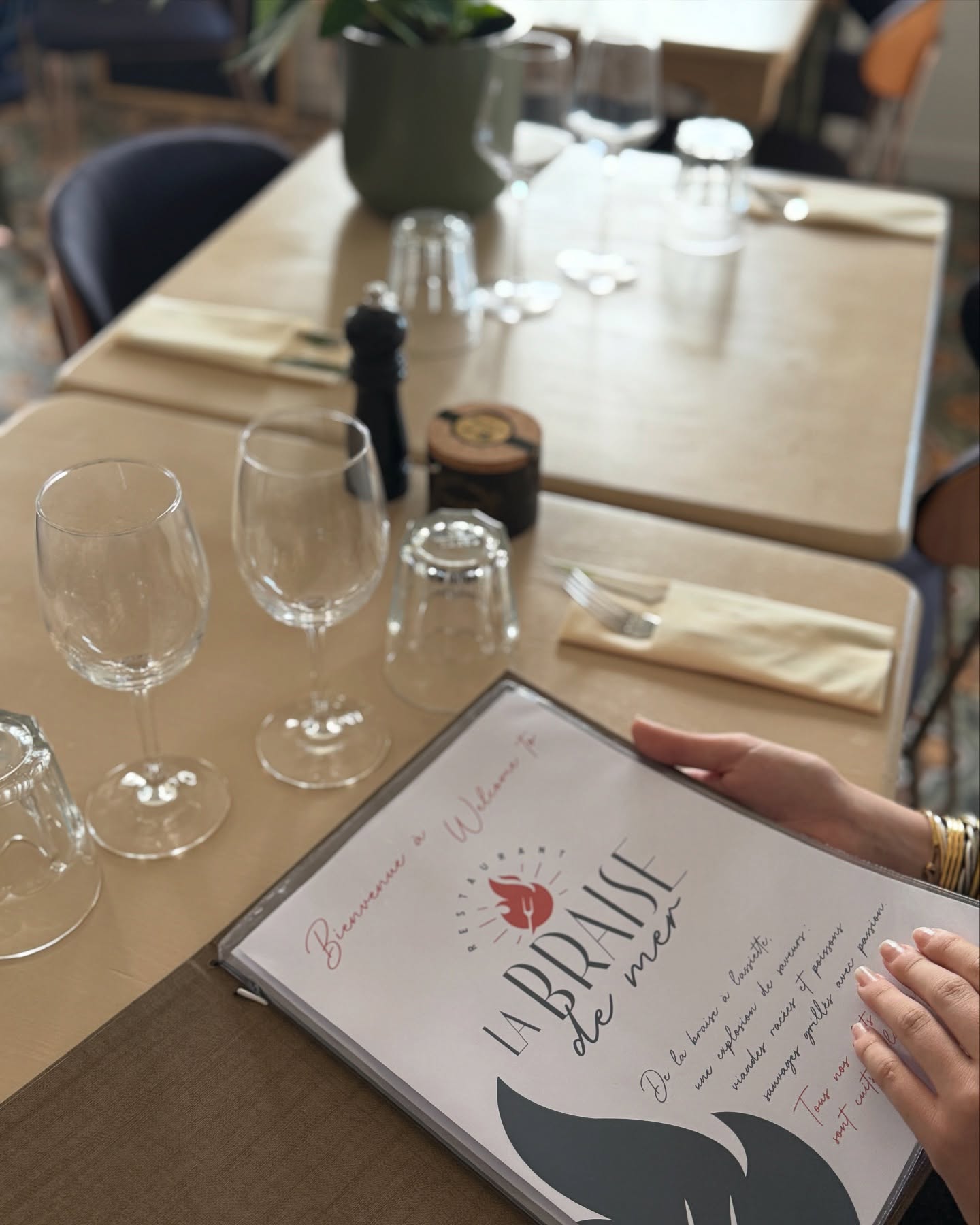 Les regles des manades en camargue