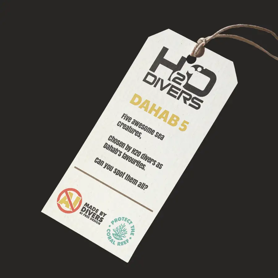 Dahab 5 tshirt tag