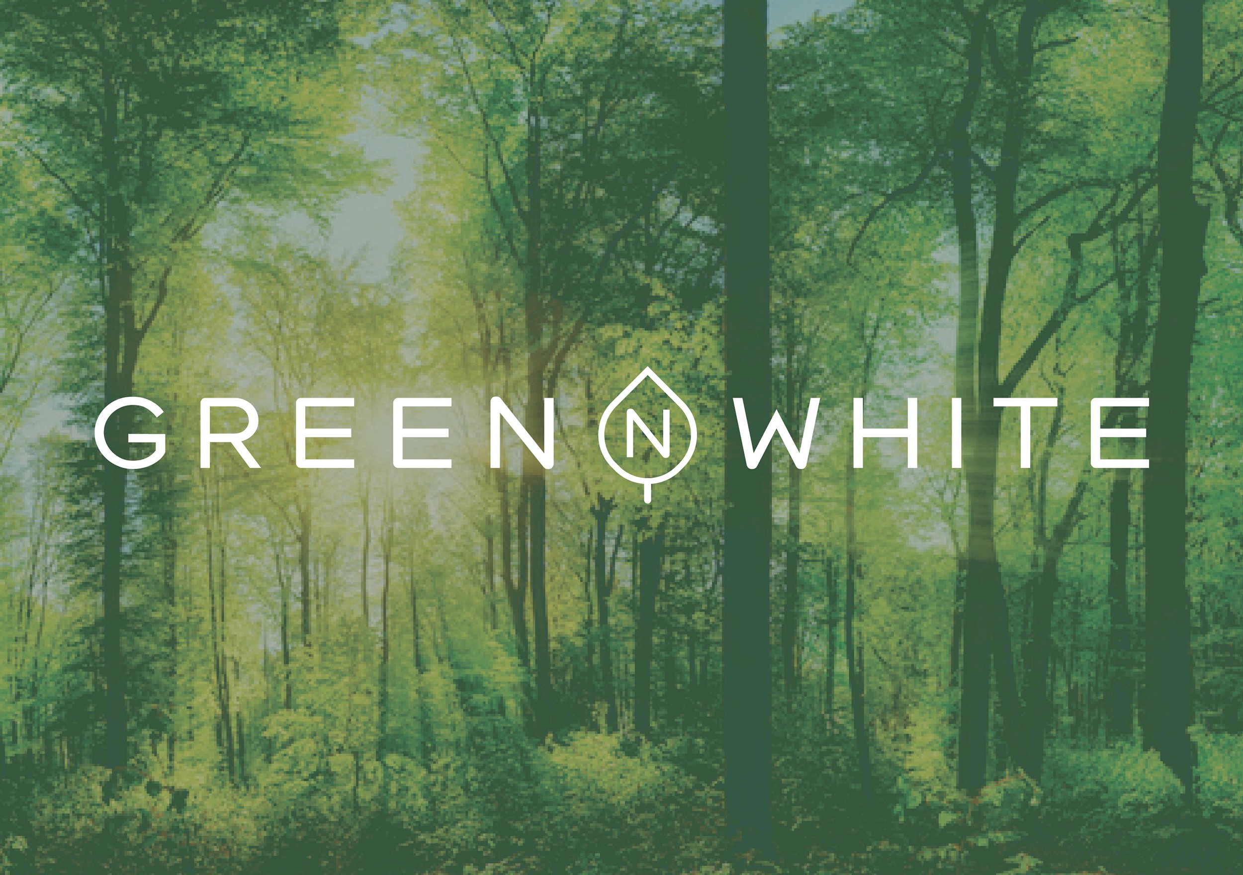 Brand logo design Northampton