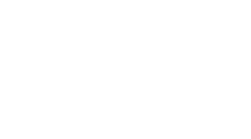 Perform Template Logo