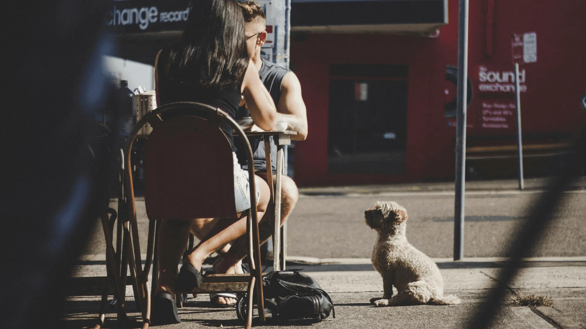 A dog sits patiently while its owners sit at an outdoor cafe