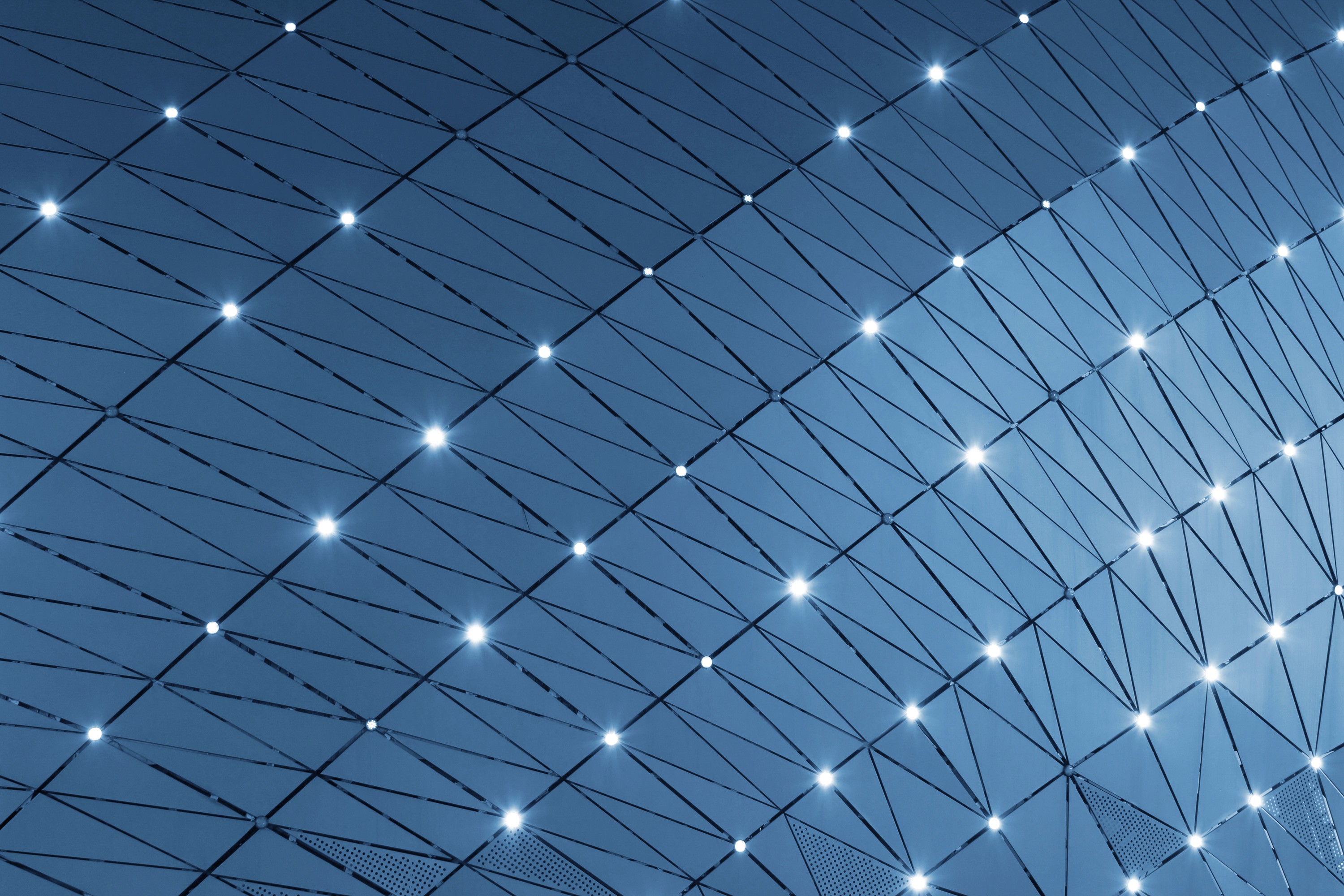 blue and white floral textile