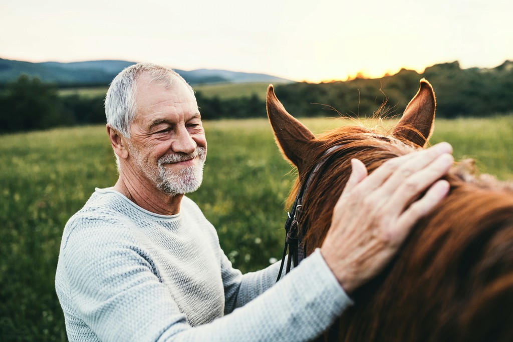 A smiling elderly man gently pats his horse in a serene, grassy field at sunset, reflecting the peaceful bond and companionship between humans and animals.