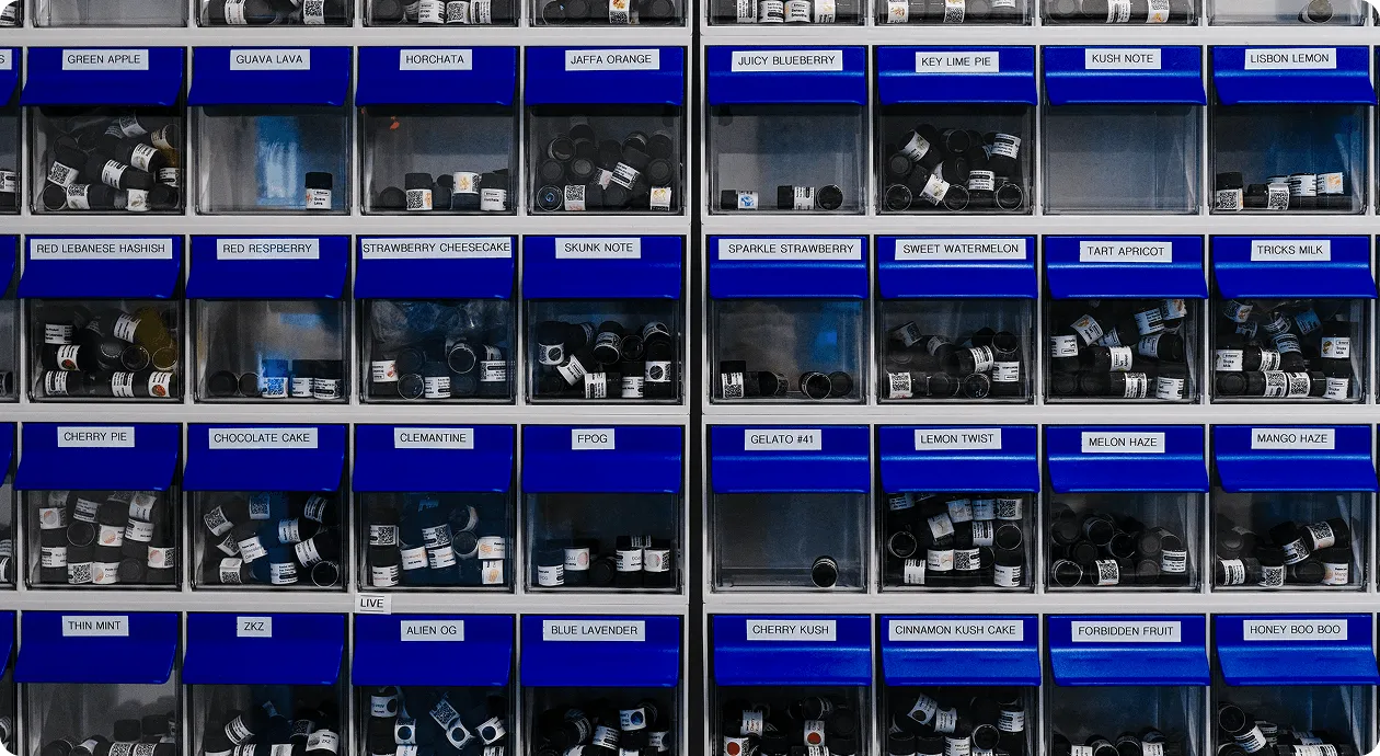 Eybna's compound library — labelled drawers of terpene sample vials