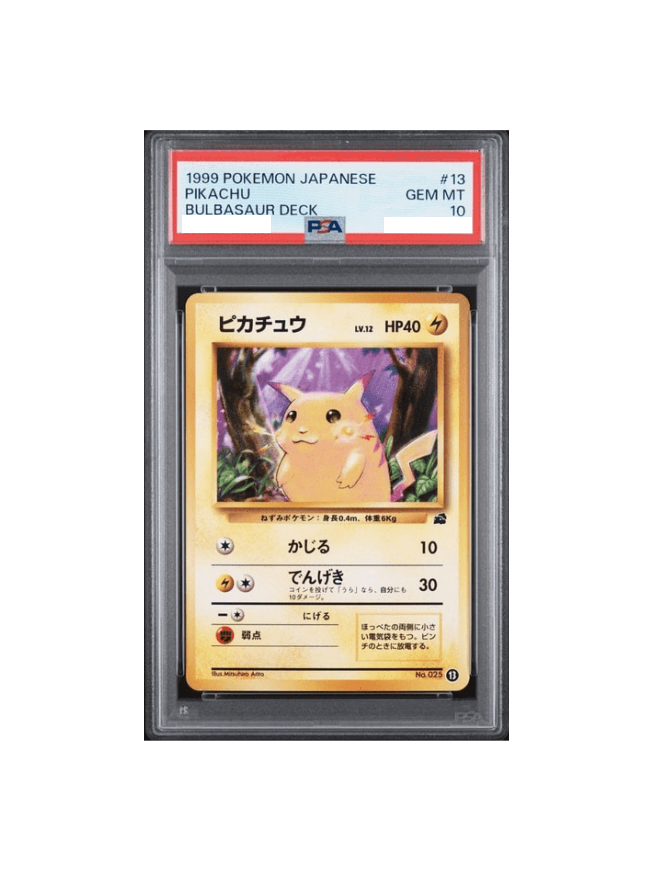 ポケモンカード（旧裏）イントロパック各種まとめ売り2 ピカチュウ イントロパック 2枚 旧裏 【公式通販】