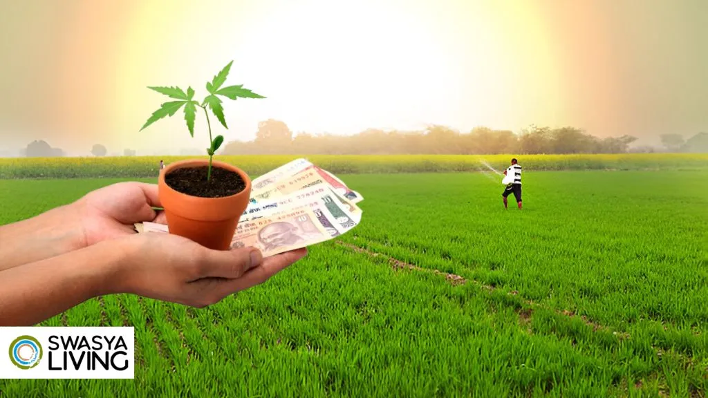 Start Organic Farming Business Plan in India