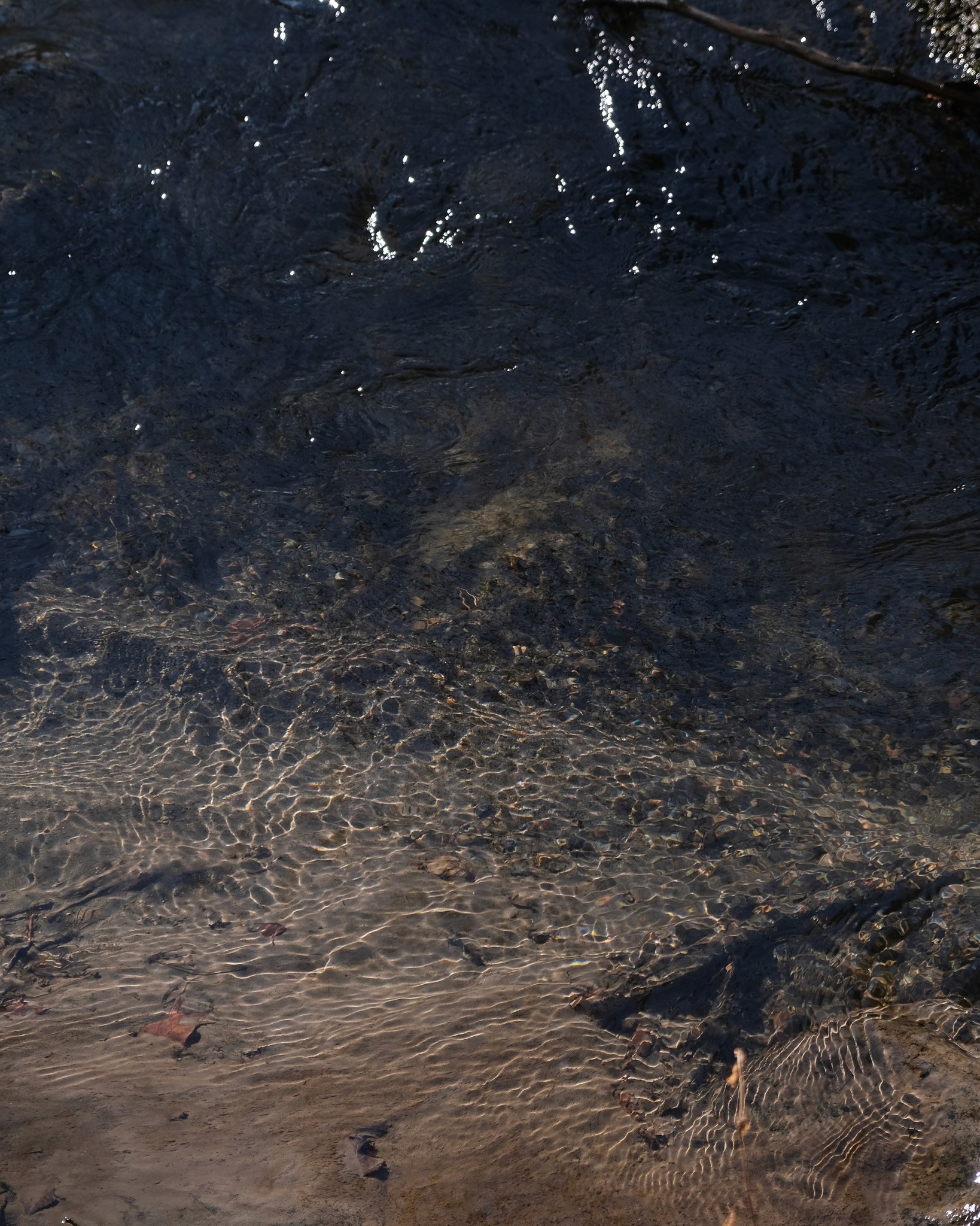 RIpples in the Yu River