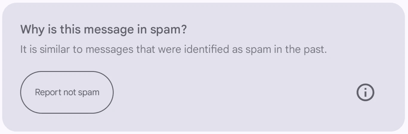 Screenshot of Gmail's spam filter notification on a light grey background displaying the message 'Why is this message in spam? It is similar to messages that were identified as spam in the past,' with a 'Report not spam' button in the bottom left corner.
