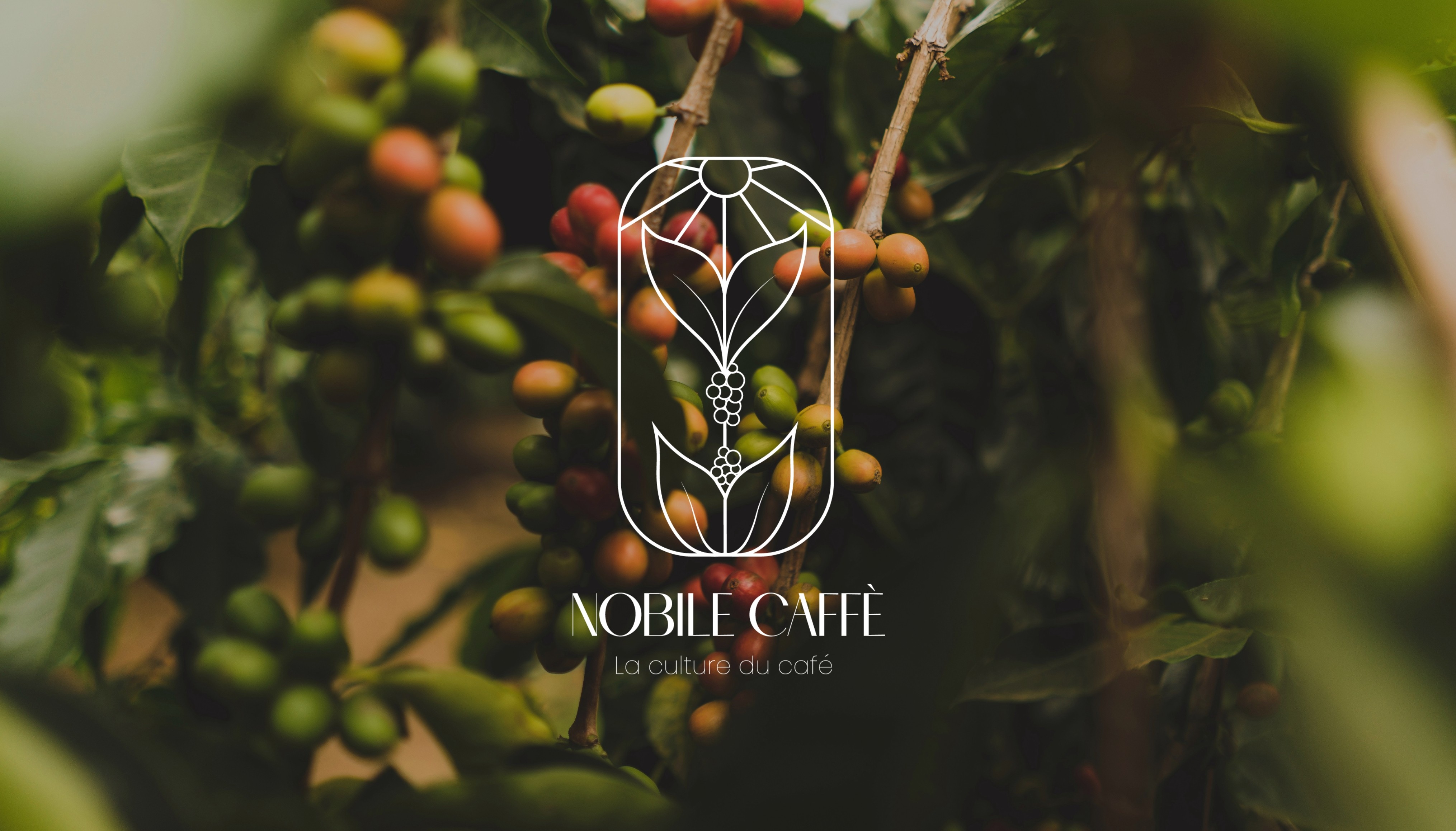 Nobil Caffè logo