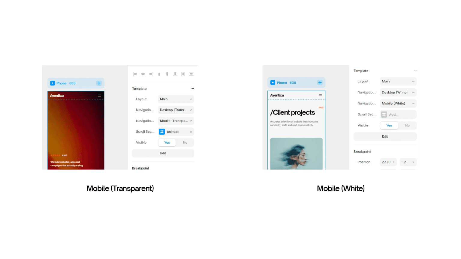 Image of the templates guidelines