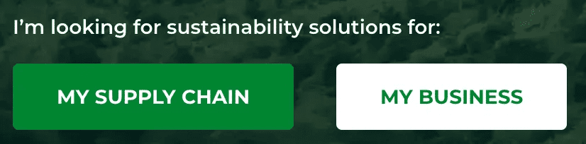 Marketing Spotlight: EcoVadis