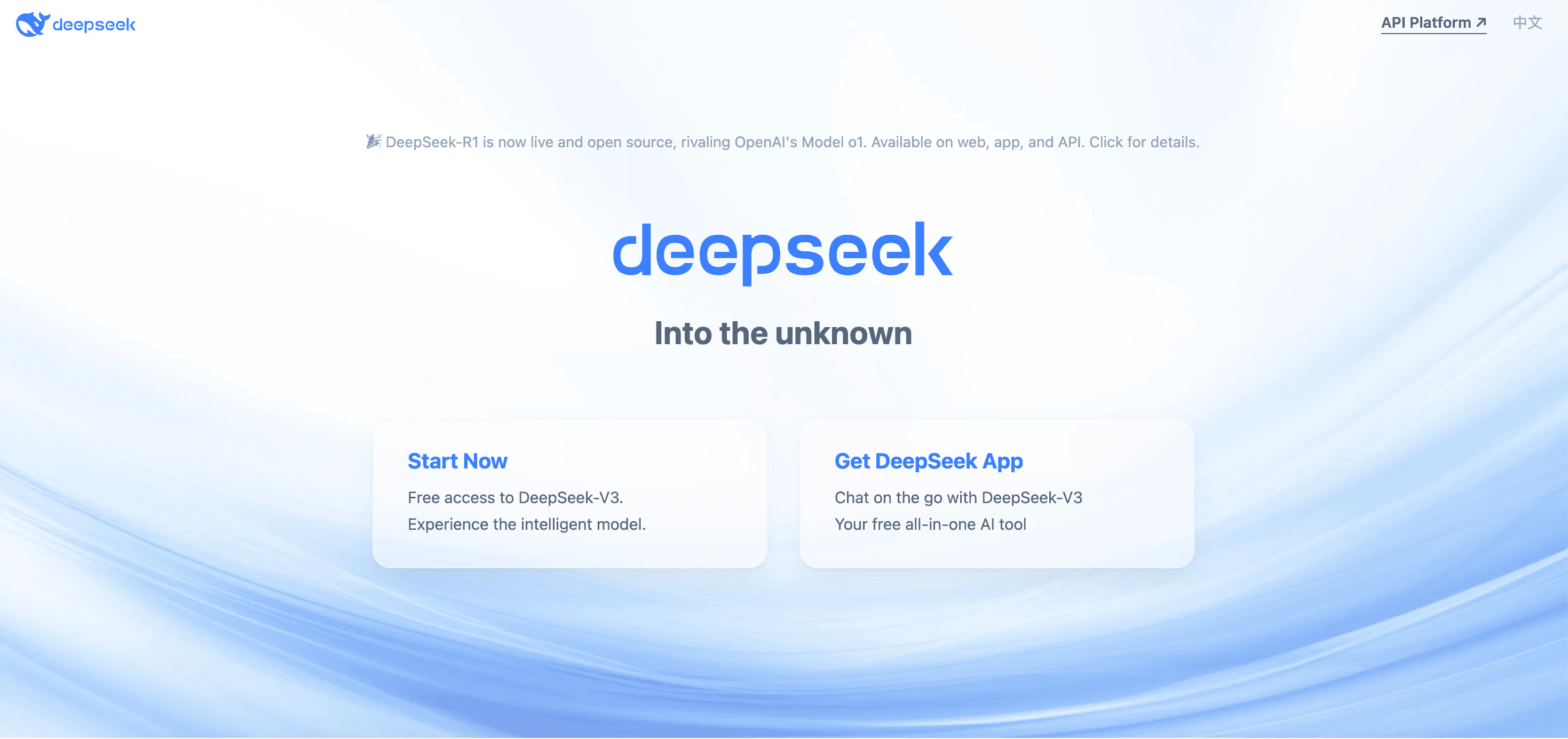 Deepseek homepage