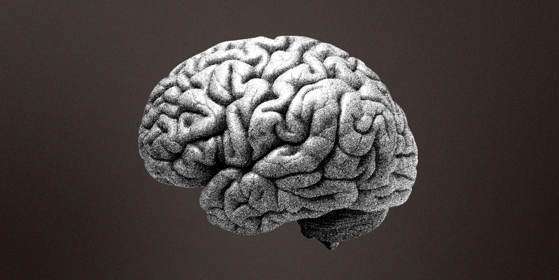 Human Brain. The Science of Branding. Tapping the hidden forces behind consumer decisions.