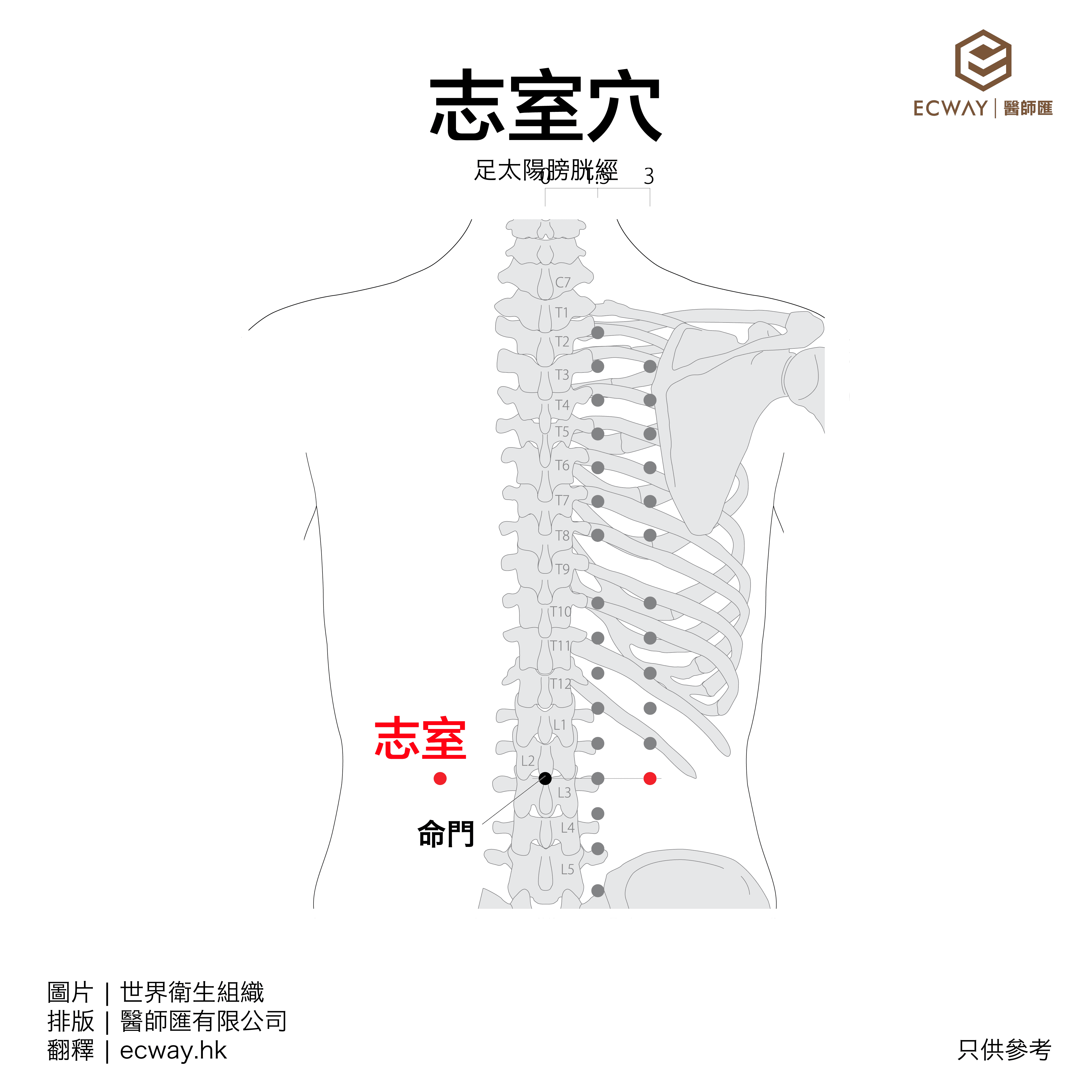 志室穴