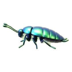 Get Rid of Cockroaches