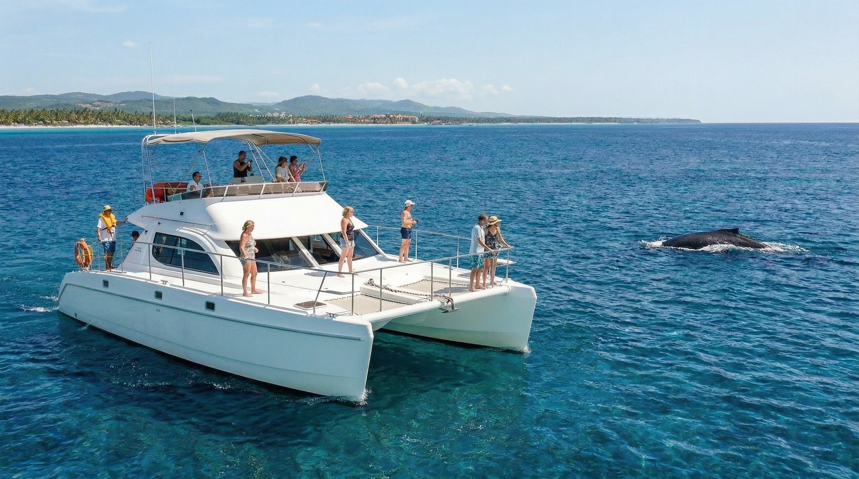 Passengers on a white catamaran watching a whale in the blue ocean