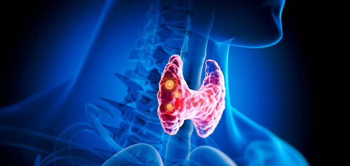 Aerial view of a winding road cutting through rocky terrain and sandy landscape.