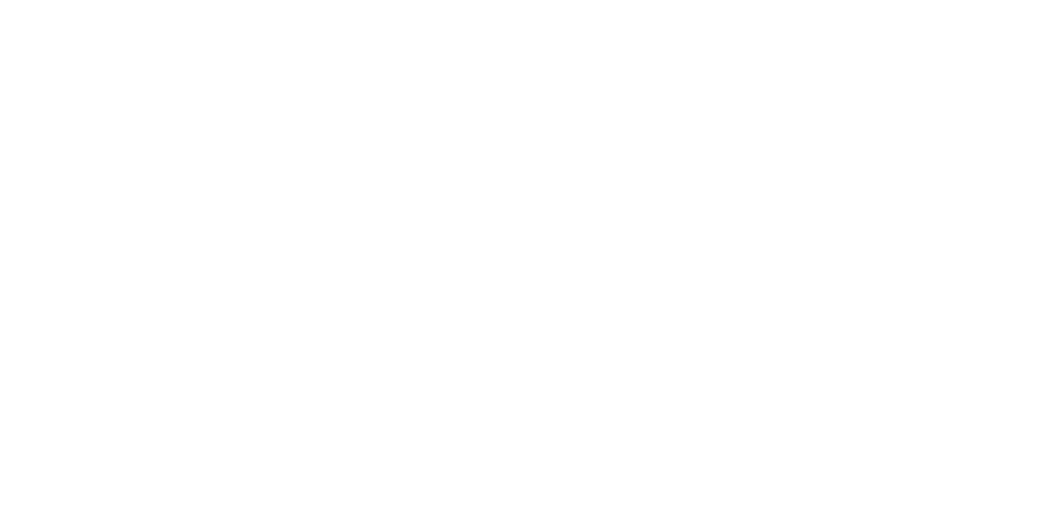 A dummy company logo