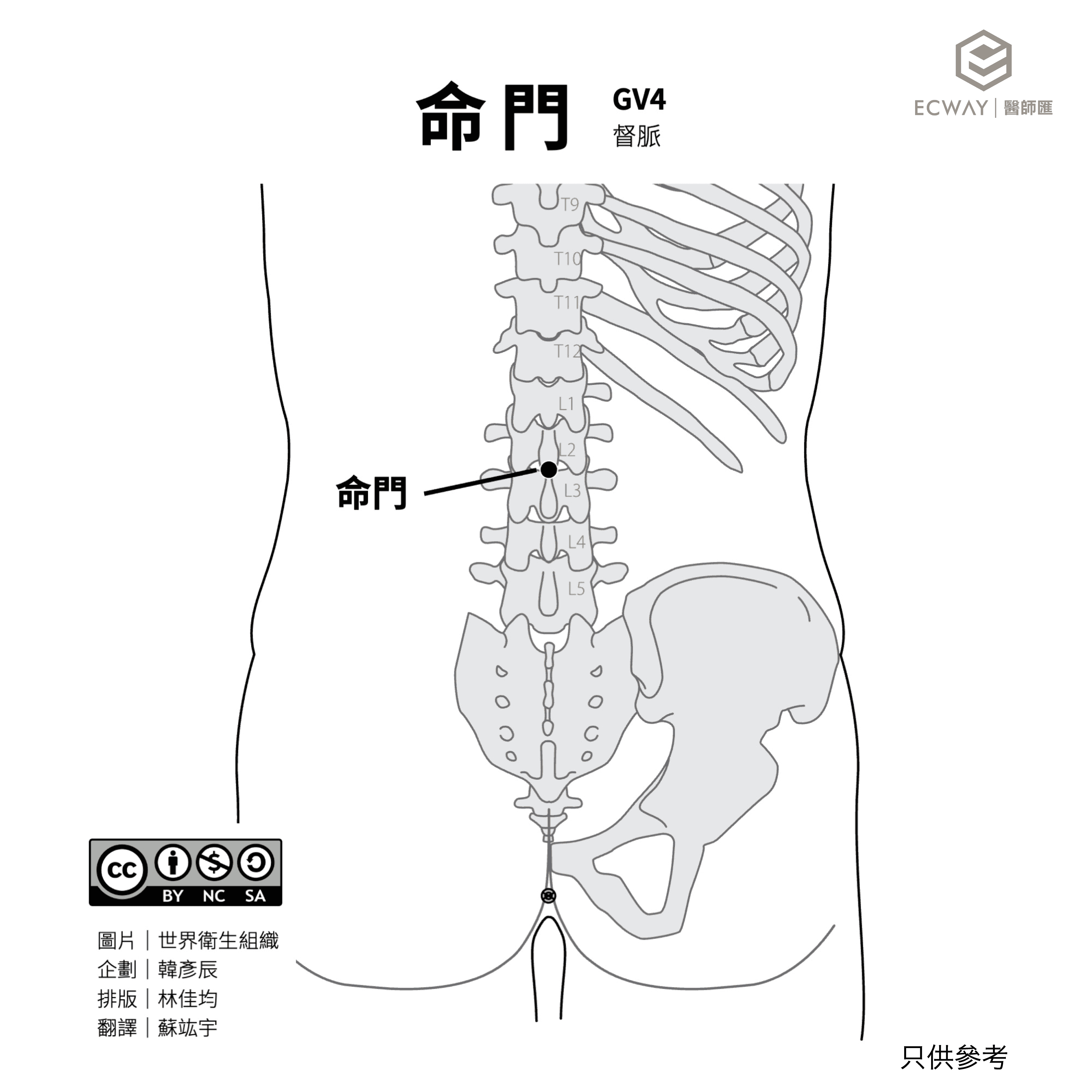 命門穴