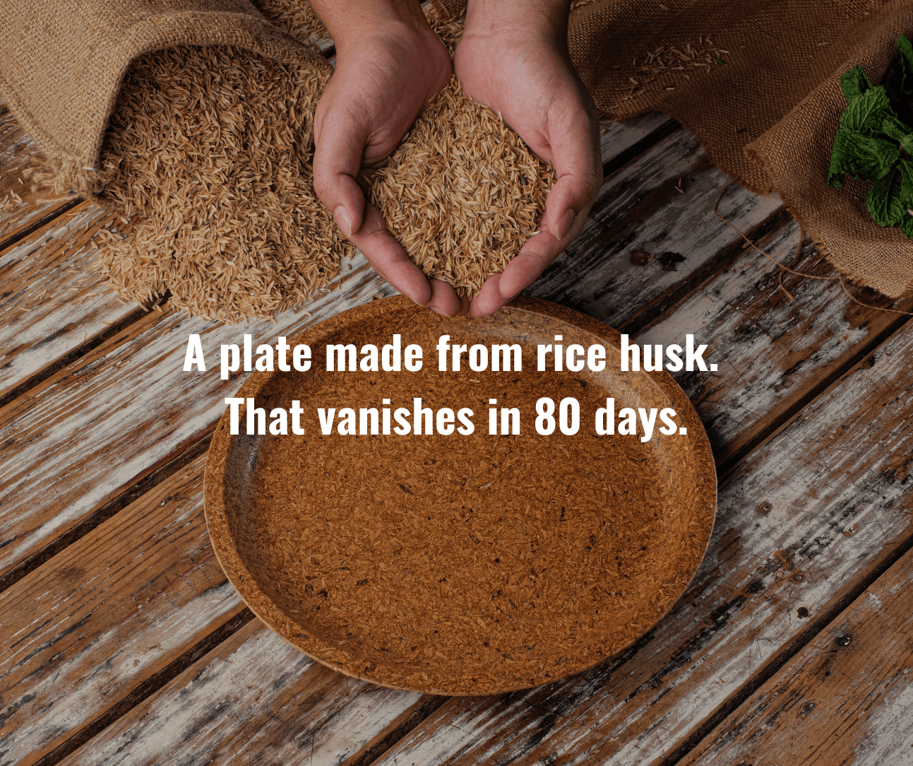 Earth Wing Plates