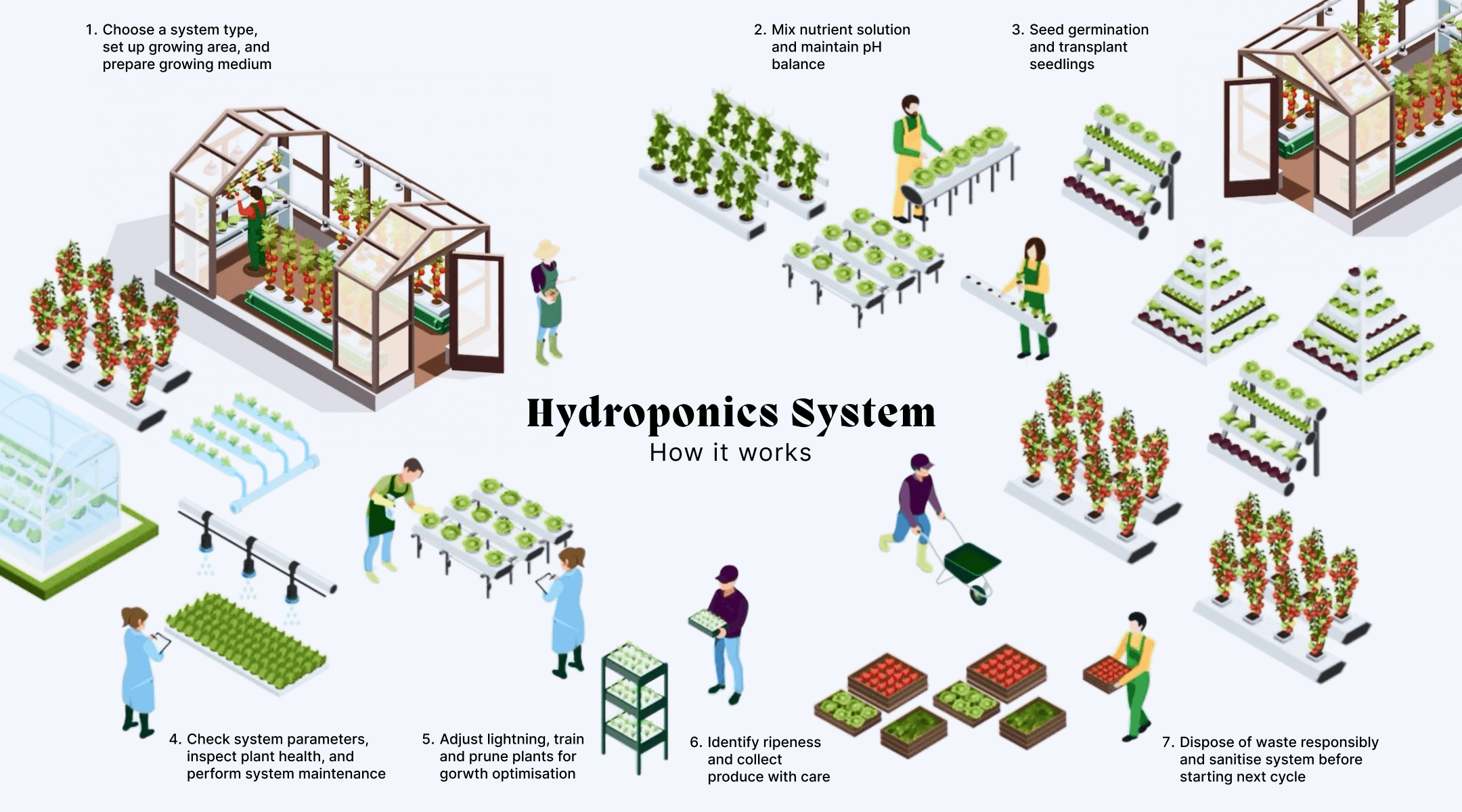 research infographics of hydroponics system