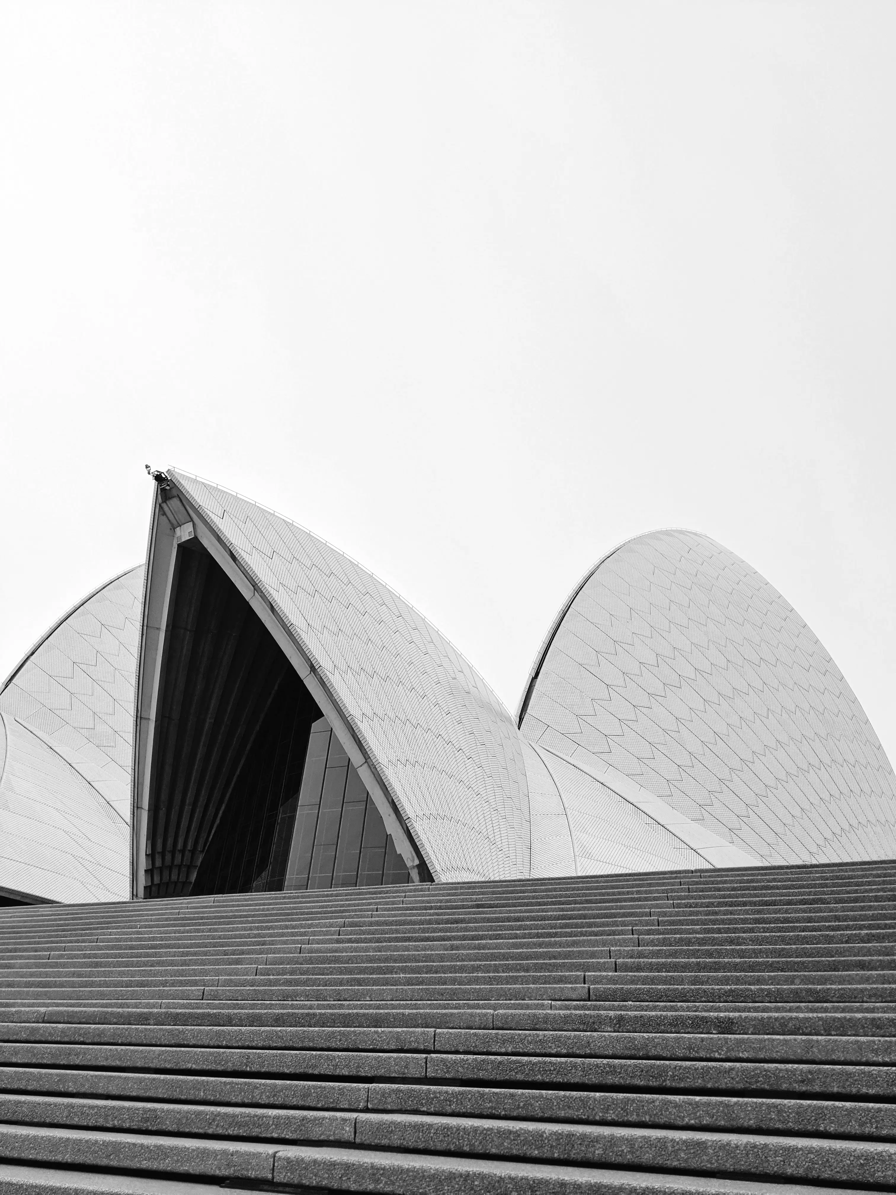 Sydney Opera House sails rising above the harbour steps, one of the most recognisable landmarks in Sydney Australia.