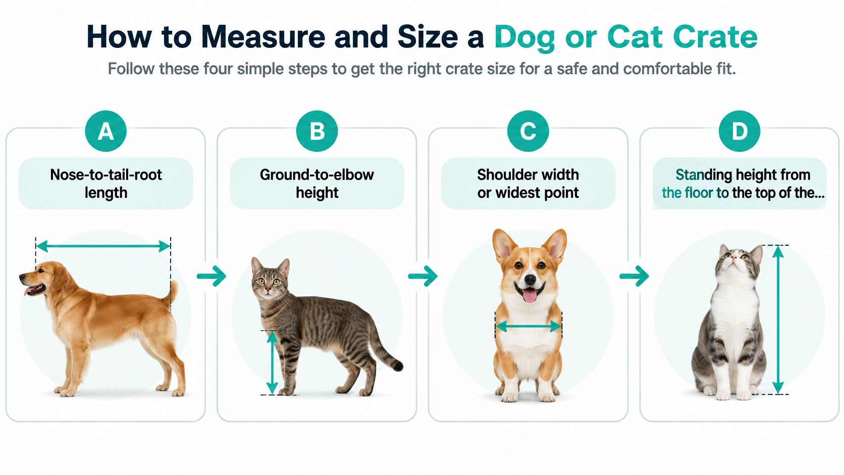 A four-step instructional infographic showing how to measure a pet for a safe and comfortable crate.