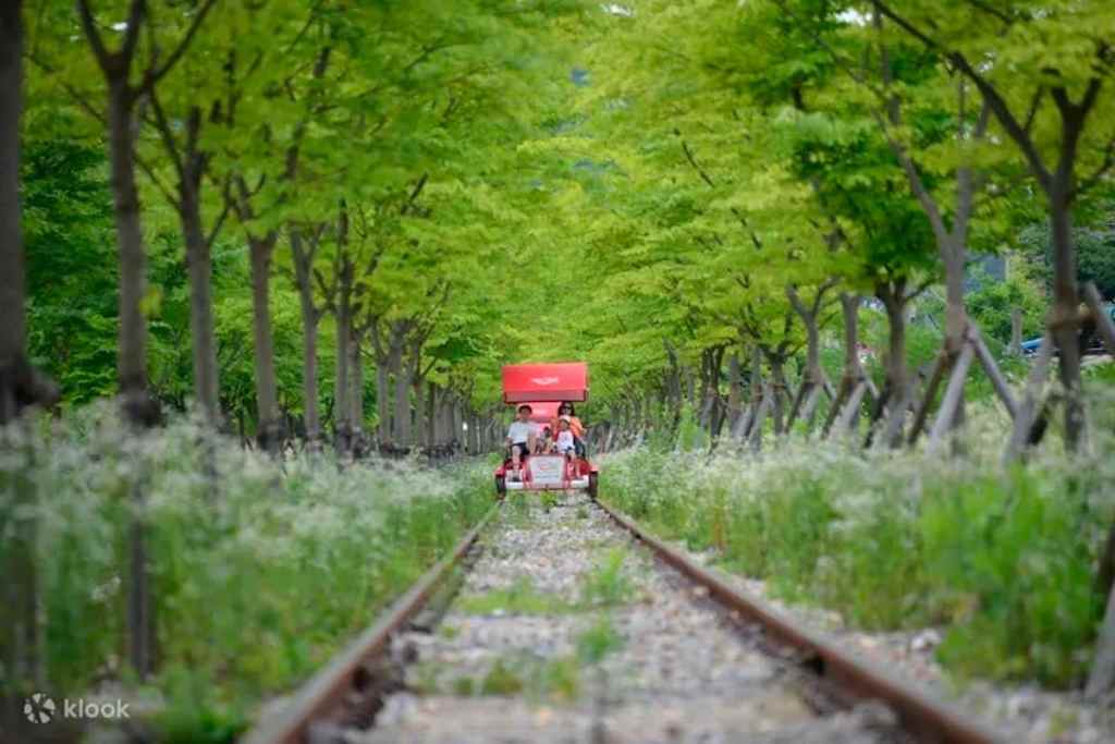 Gyeonggang rail bike, Korea