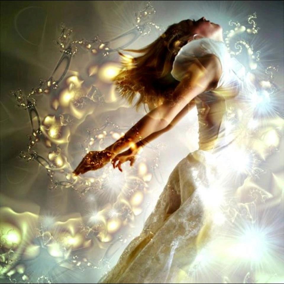 pink flowers on body of water