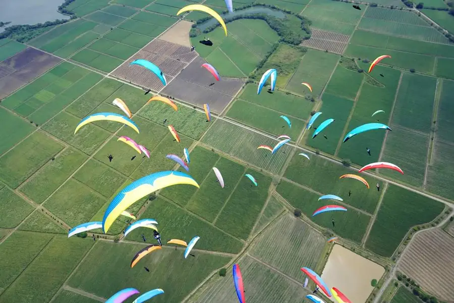 Competition paragliders flying over fields