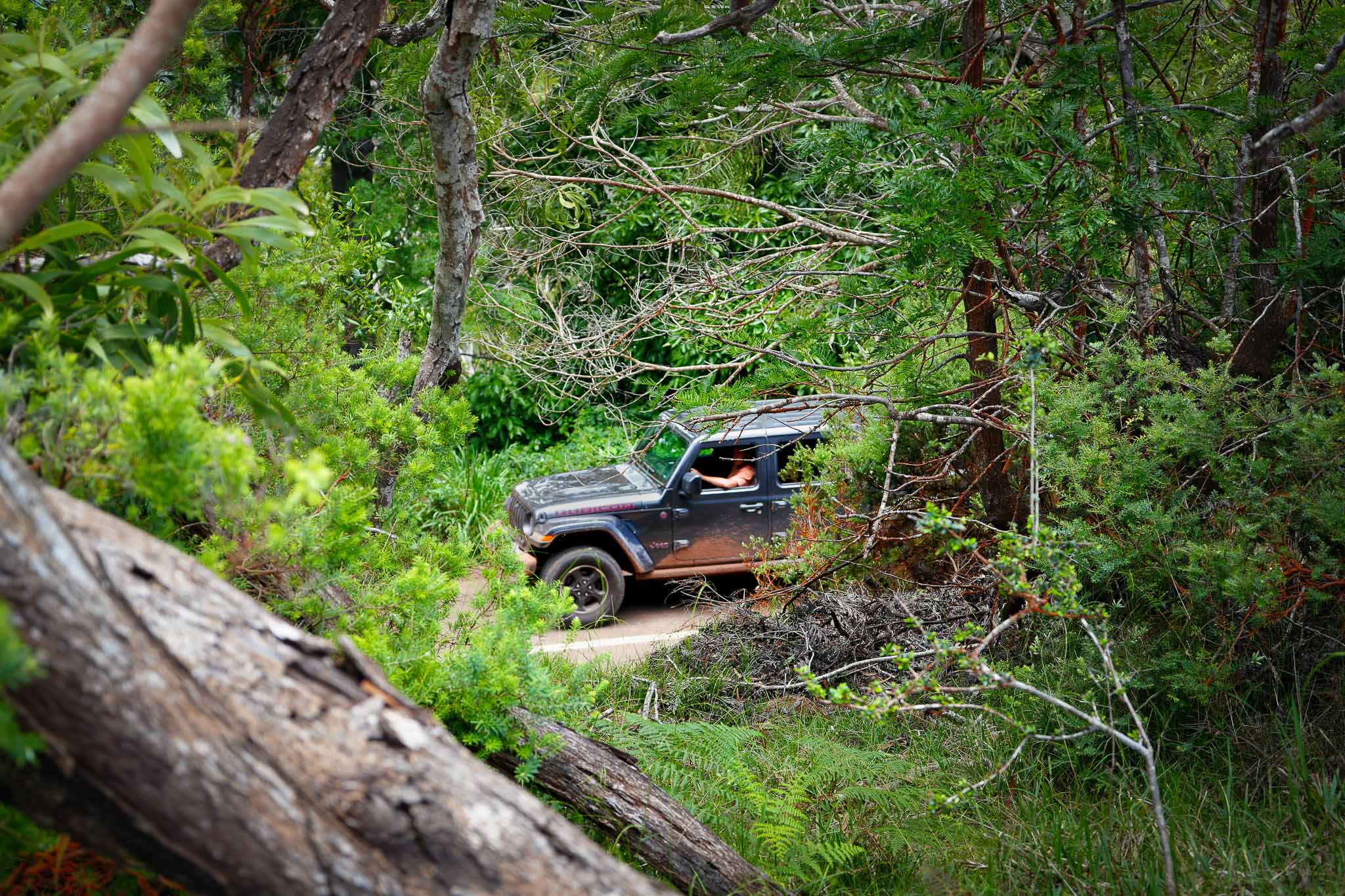 hawaii  jeep road valley waimeadrone