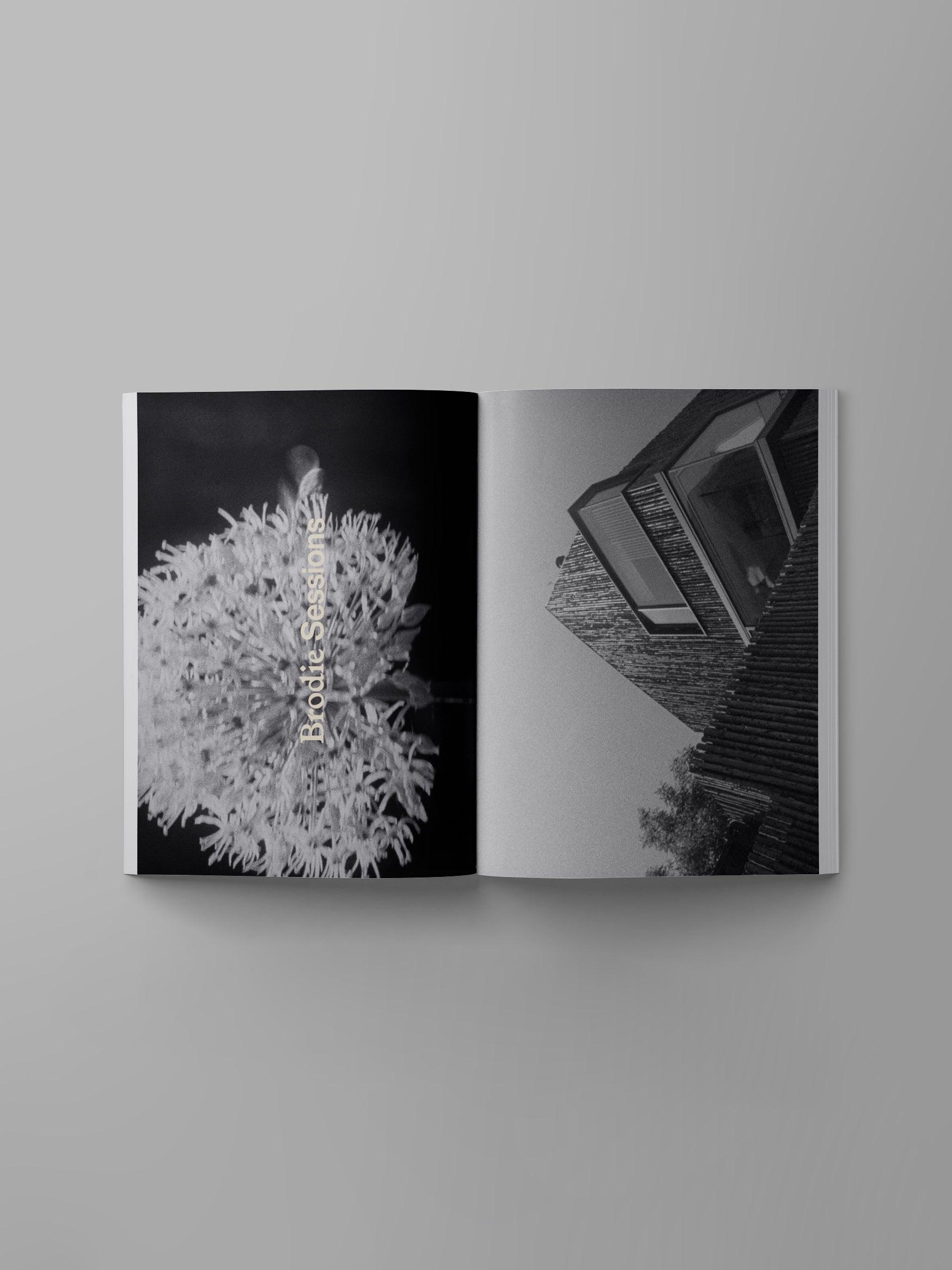 Ark Journal: Volume XIIl - Spring Summer 2025 - Tadaima - Preview
