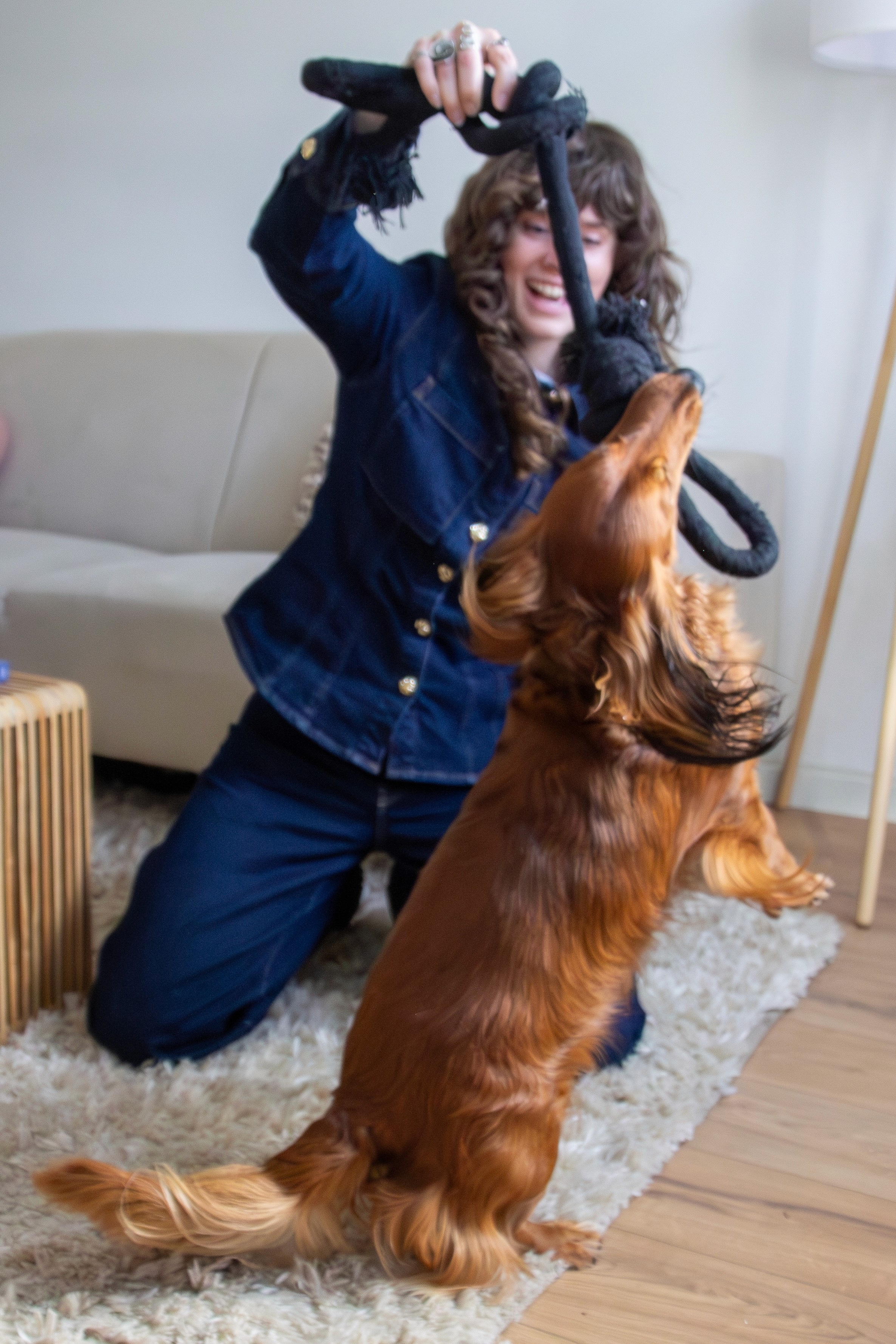 Find your dog sitter via Charly Cares