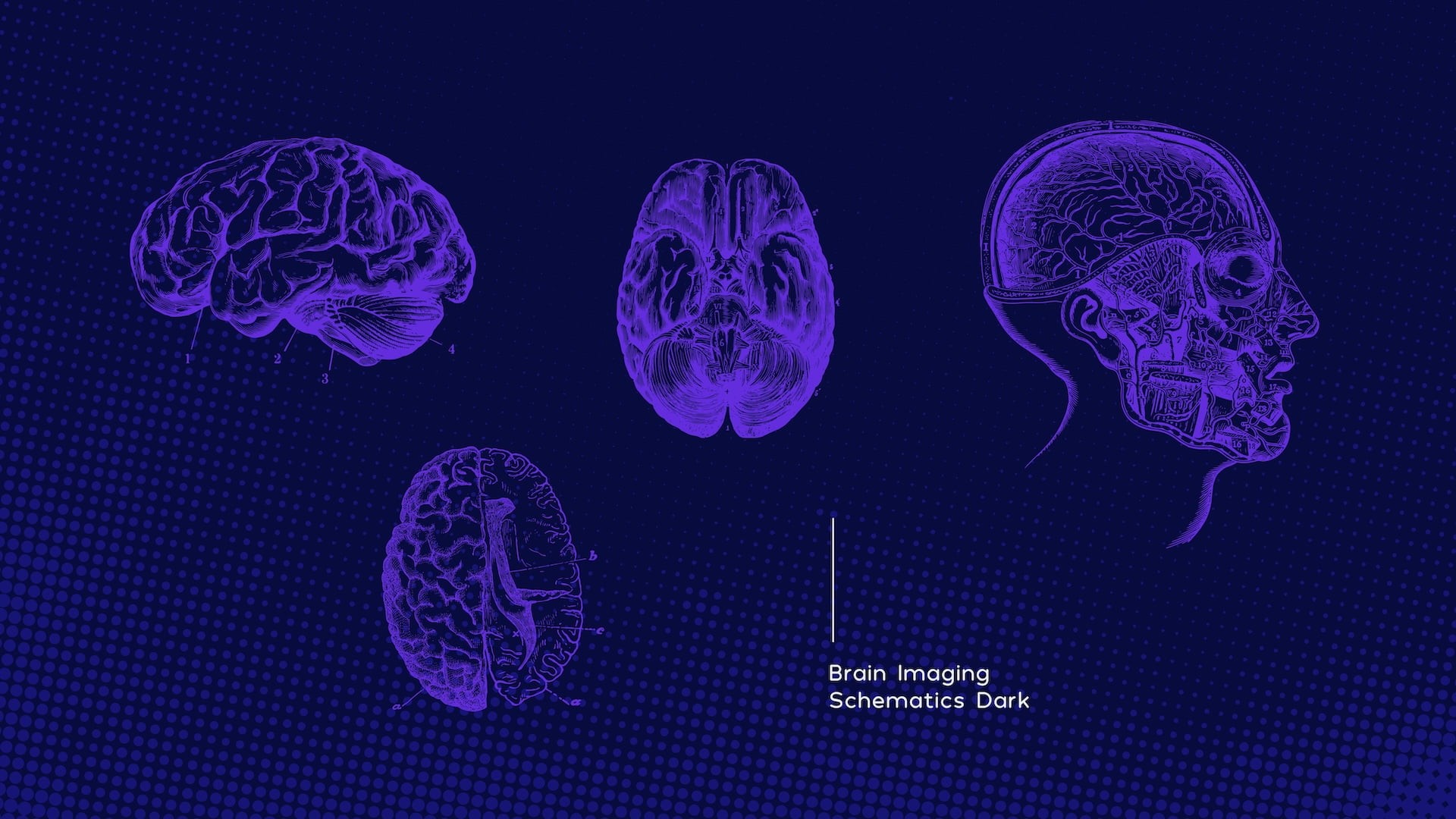 Neurolix AI brain imaging schematics artwork showing four purple anatomical brain illustrations: lateral view, inferior view, sagittal cross-section with skull, and brain hemisphere diagram on dark navy blue background for dark mode brand applications.