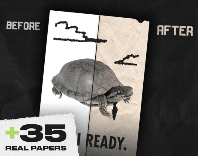 Complete Paper Textures Asset Pack - By Samuel Tomé, Designer & Game Developer
