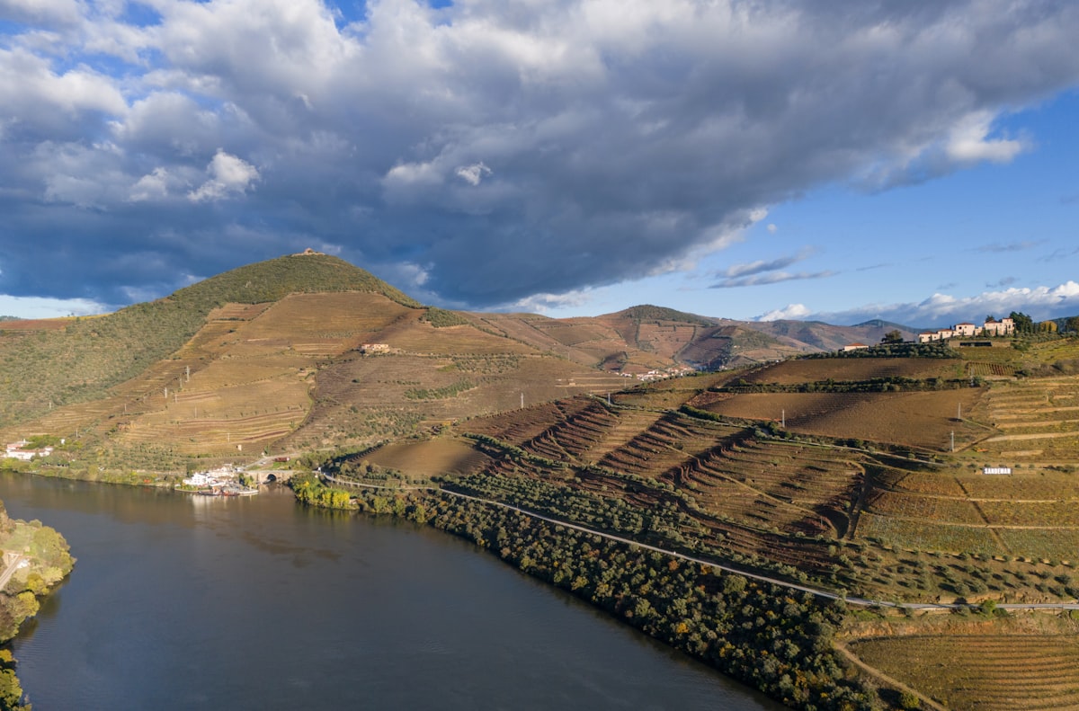 Terraced vineyards along the Douro River under autumn sun