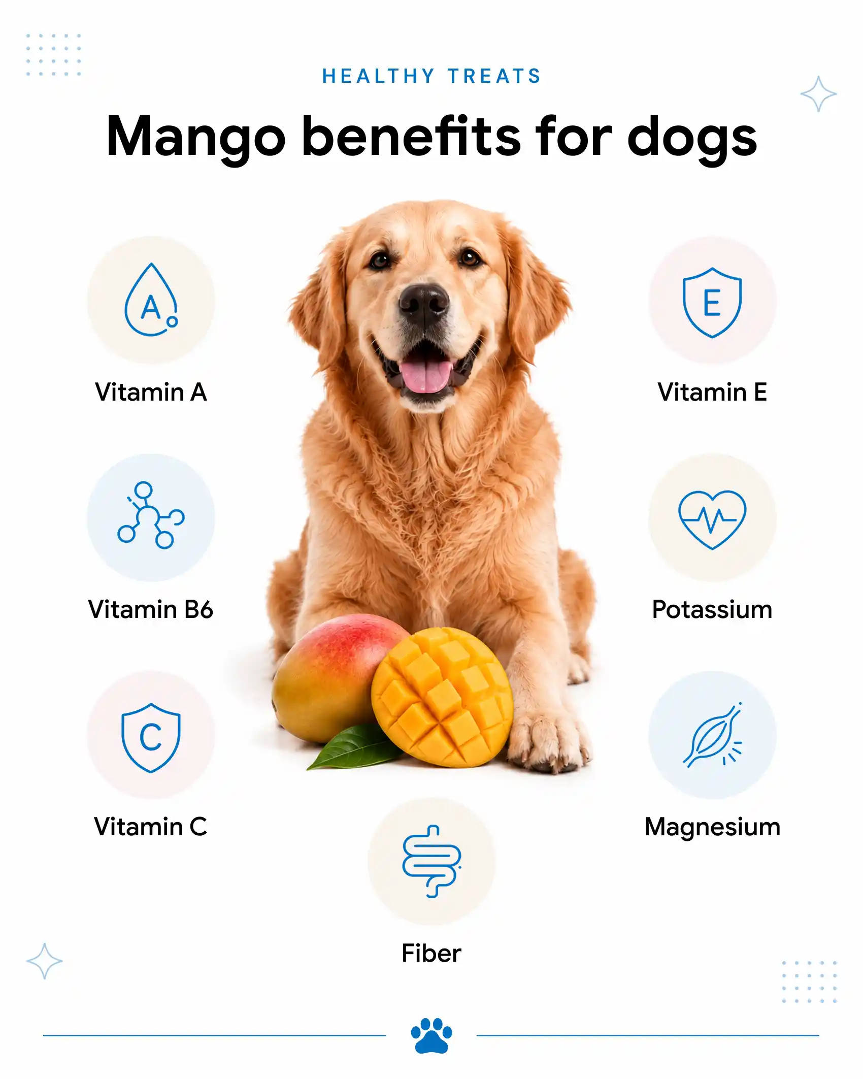 An infographic showing the benefits of mangos for dogs.