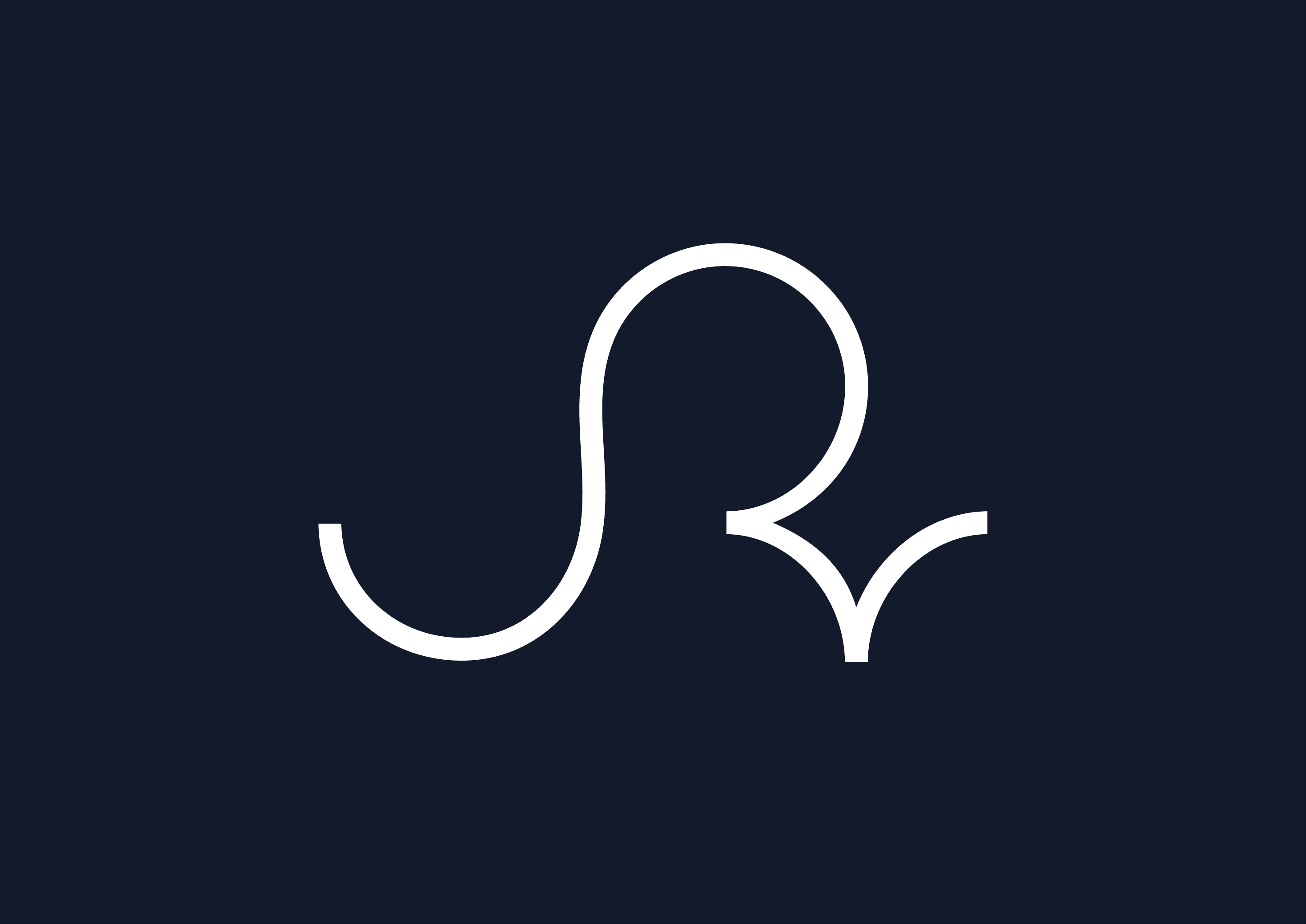 Jerry Rings Brand Project