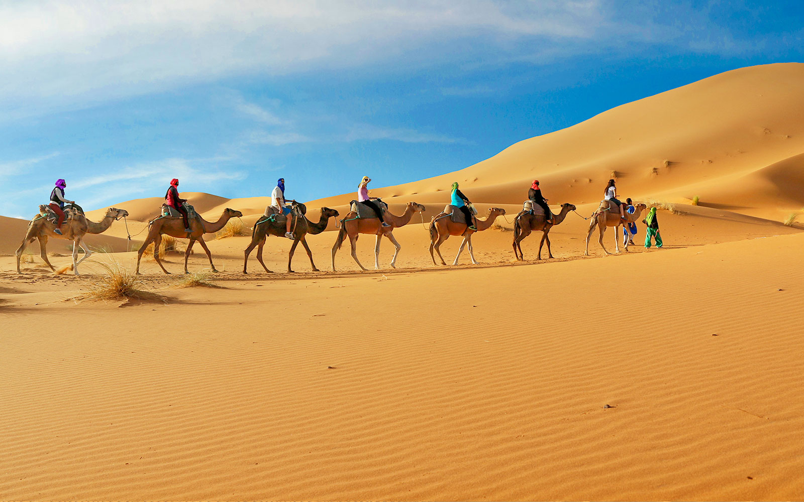 Carovana di cammelli che attraversa le dune di sabbia nel safari nel deserto di Dubai.