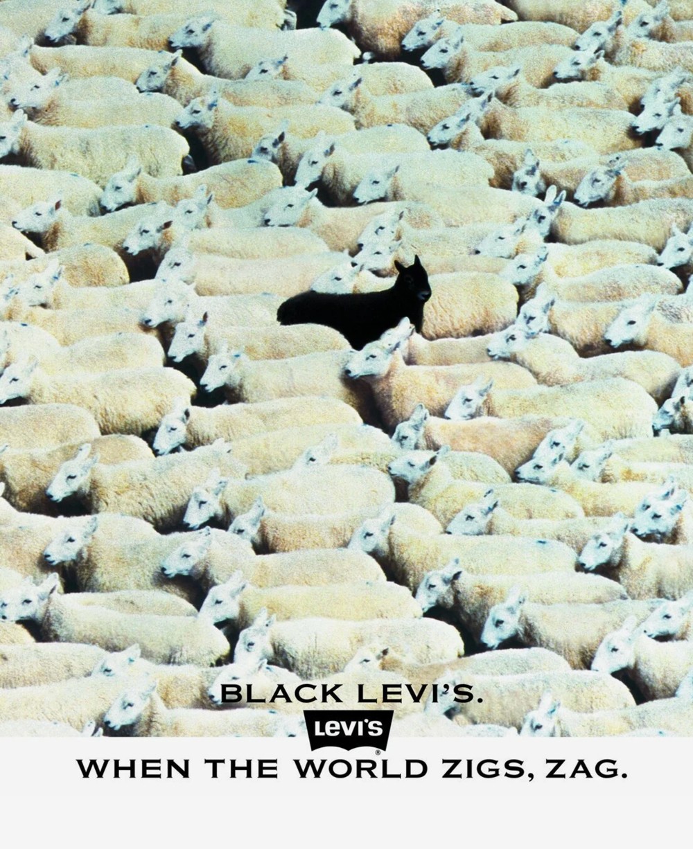 A fluffy gray rabbit rests on a floral chair.