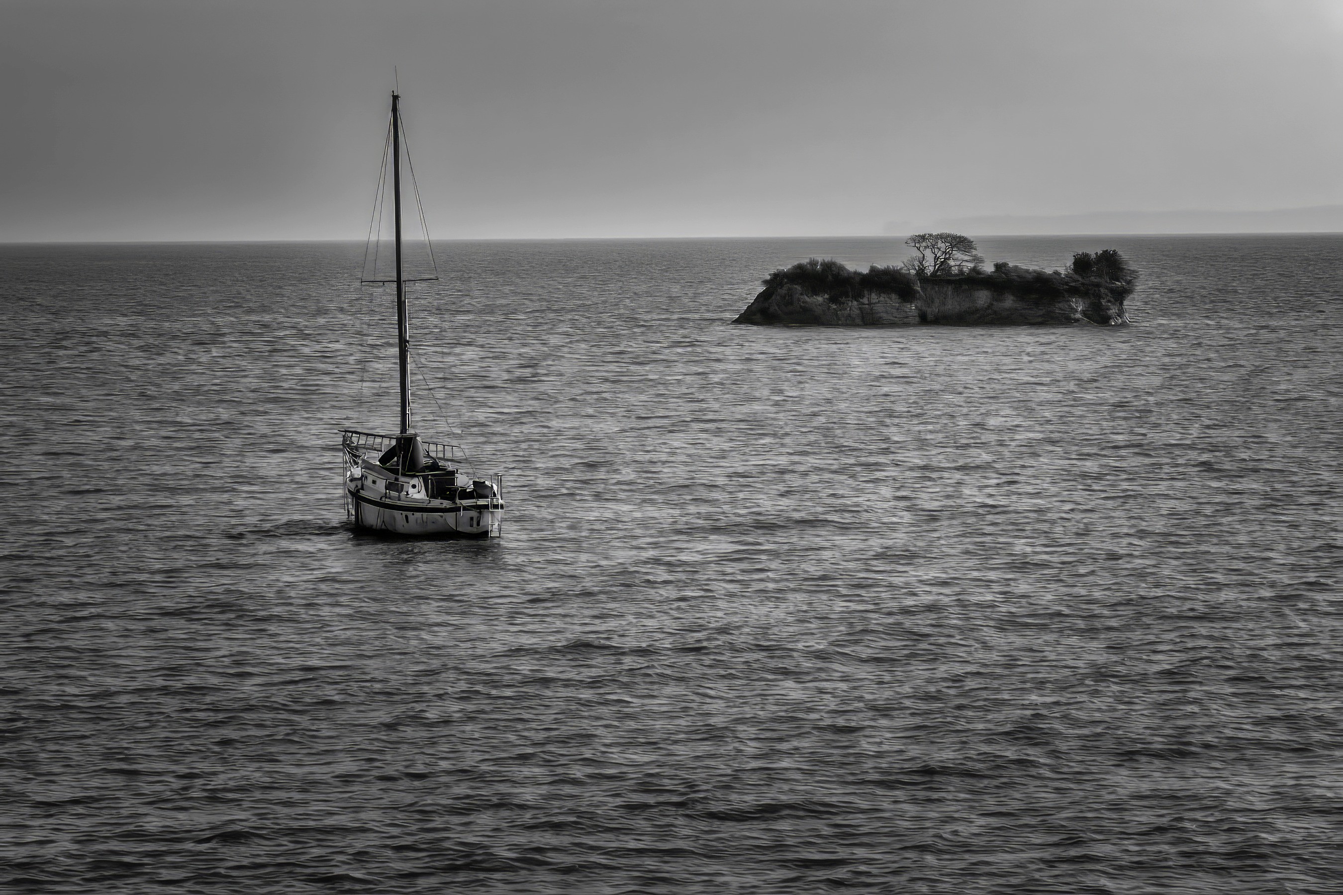 Ocean Horizons archival environmental photograph
